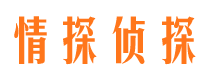 宁阳找人公司